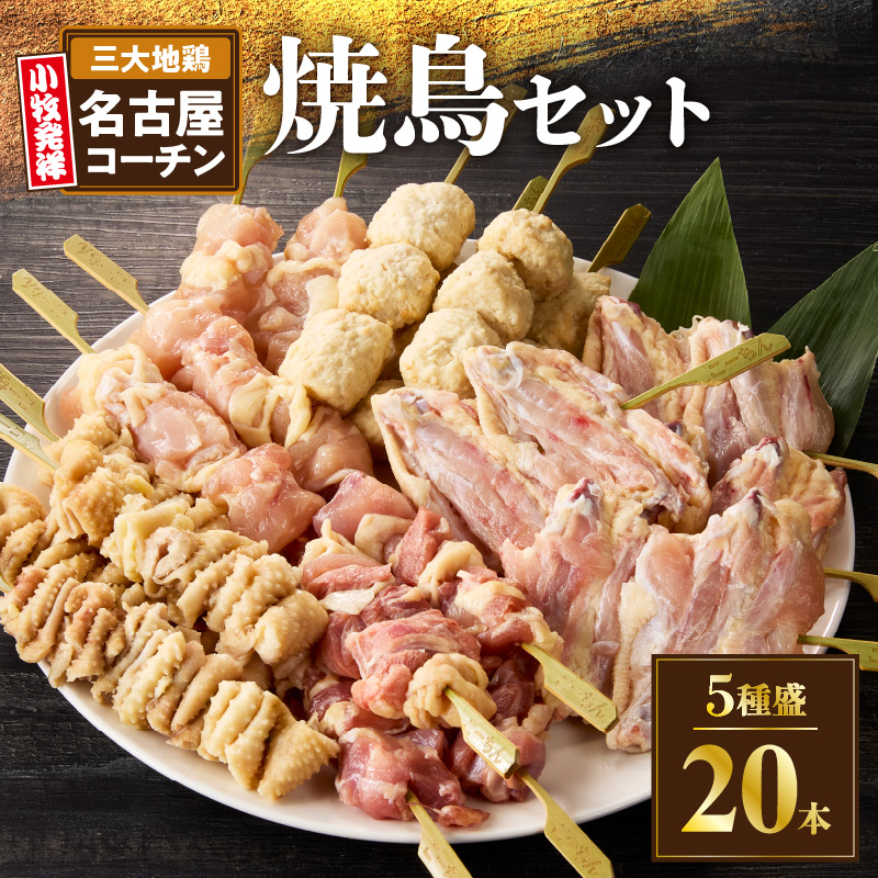 名古屋コーチン焼鳥　5種20本セット（もも・むね・手羽中・皮・つくね）