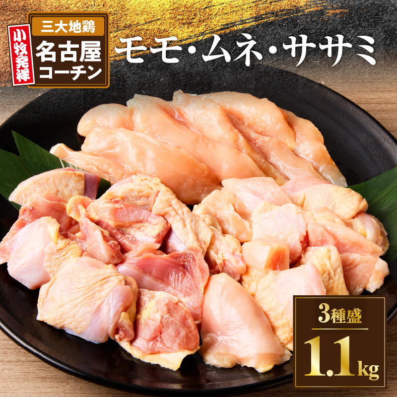地鶏の王様名古屋コｰチン3種盛1.1kg大満足セット