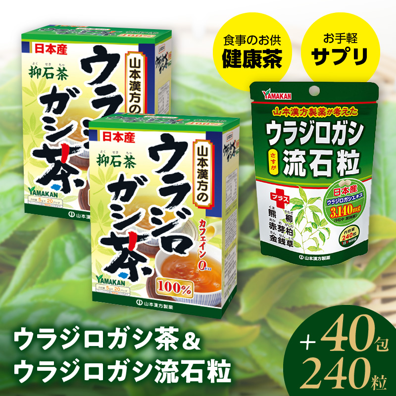 ウラジロガシ茶&ウラジロガシ 流石粒