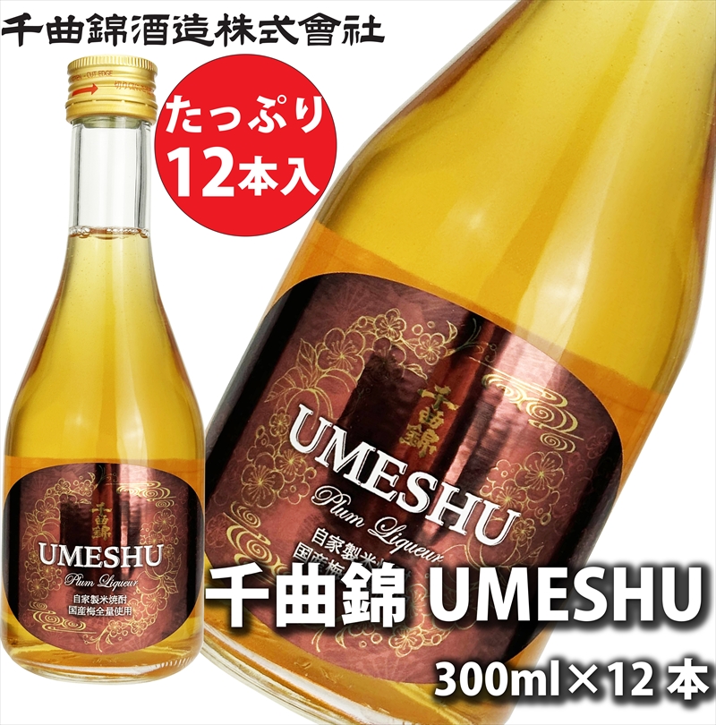 信州佐久 梅酒 千曲錦 UMESHU 300ml×12本セット【 酒 さけ 長野県 佐久市 】