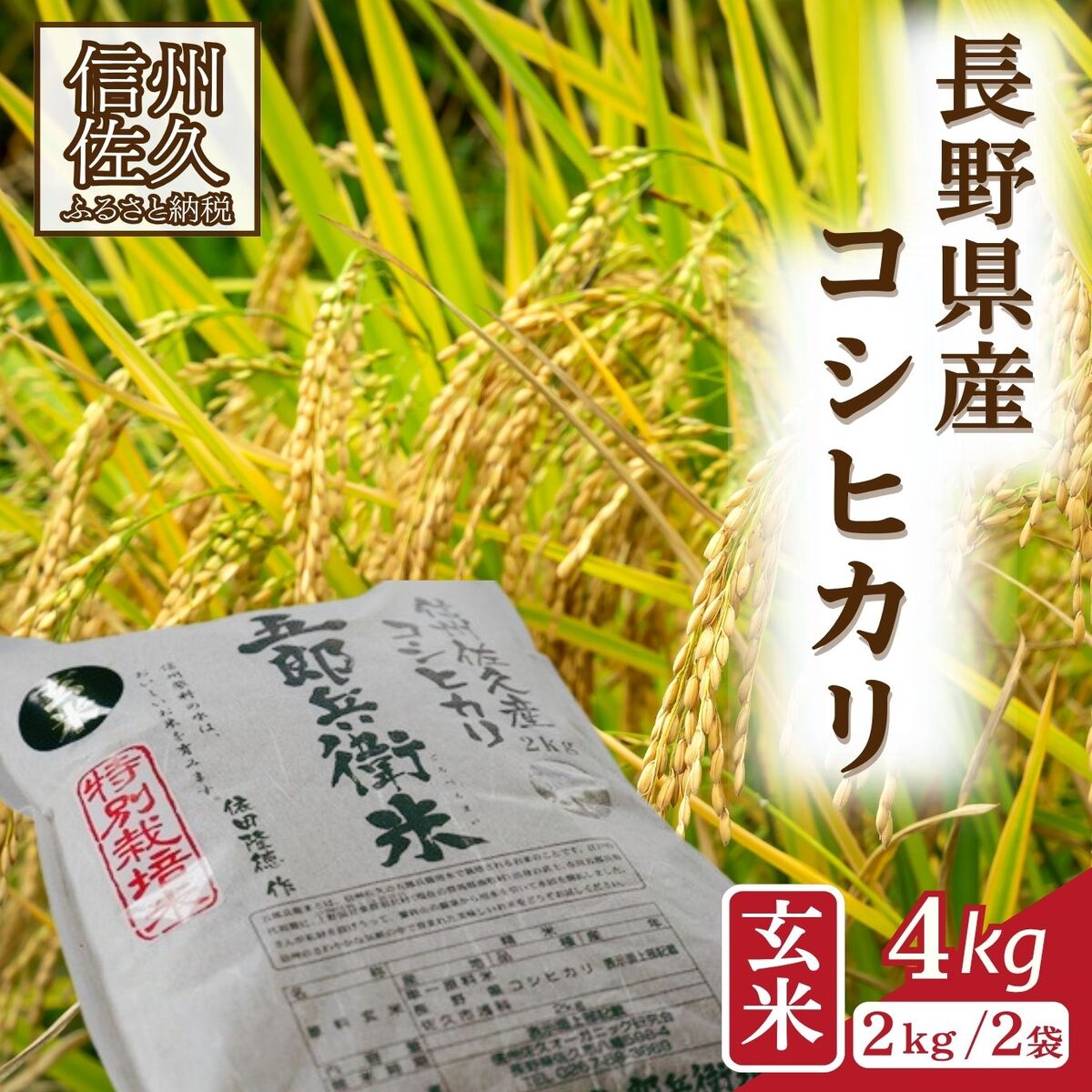 [令和7年産・玄米4kg(2kg×2袋)]特別栽培米 五郎兵衛米 [2025年9月中旬頃〜順次発送] 先行予約 新米 信州 こしひかり[ 長野県 佐久市 ]