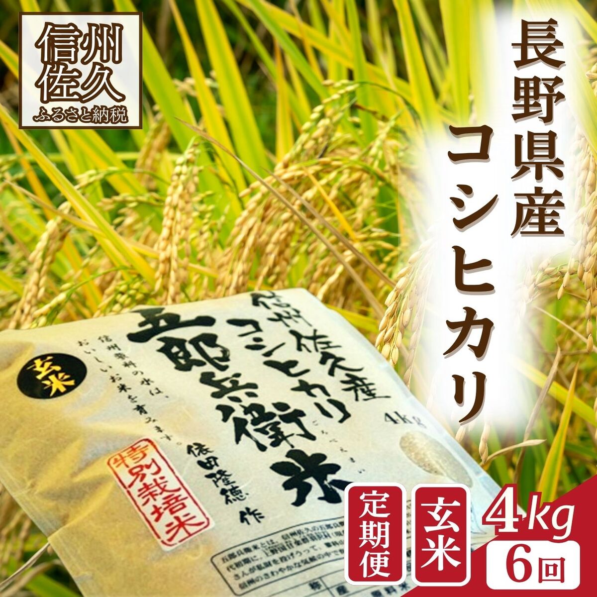 [令和7年産・玄米4kg×6カ月定期便]特別栽培米 五郎兵衛米 [2025年9月中旬頃〜順次発送] 先行予約 新米 信州 こしひかり[ 長野県 佐久市 ]