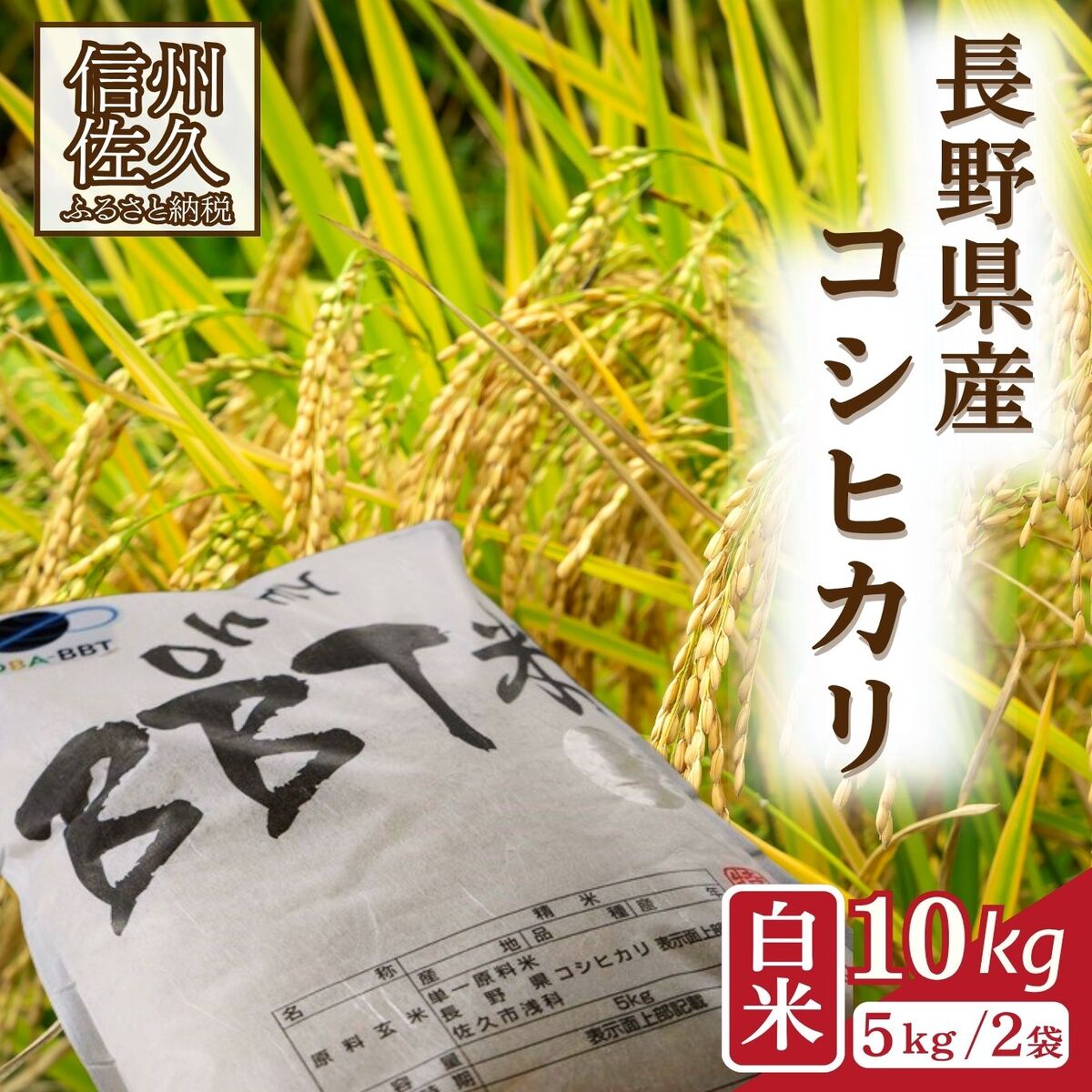 [令和7年産・白米10kg]特別栽培米 BBT米(五郎兵衛米)[2025年9月中旬頃〜順次発送] 先行予約 新米 信州 こしひかり[ 長野県 佐久市 ]