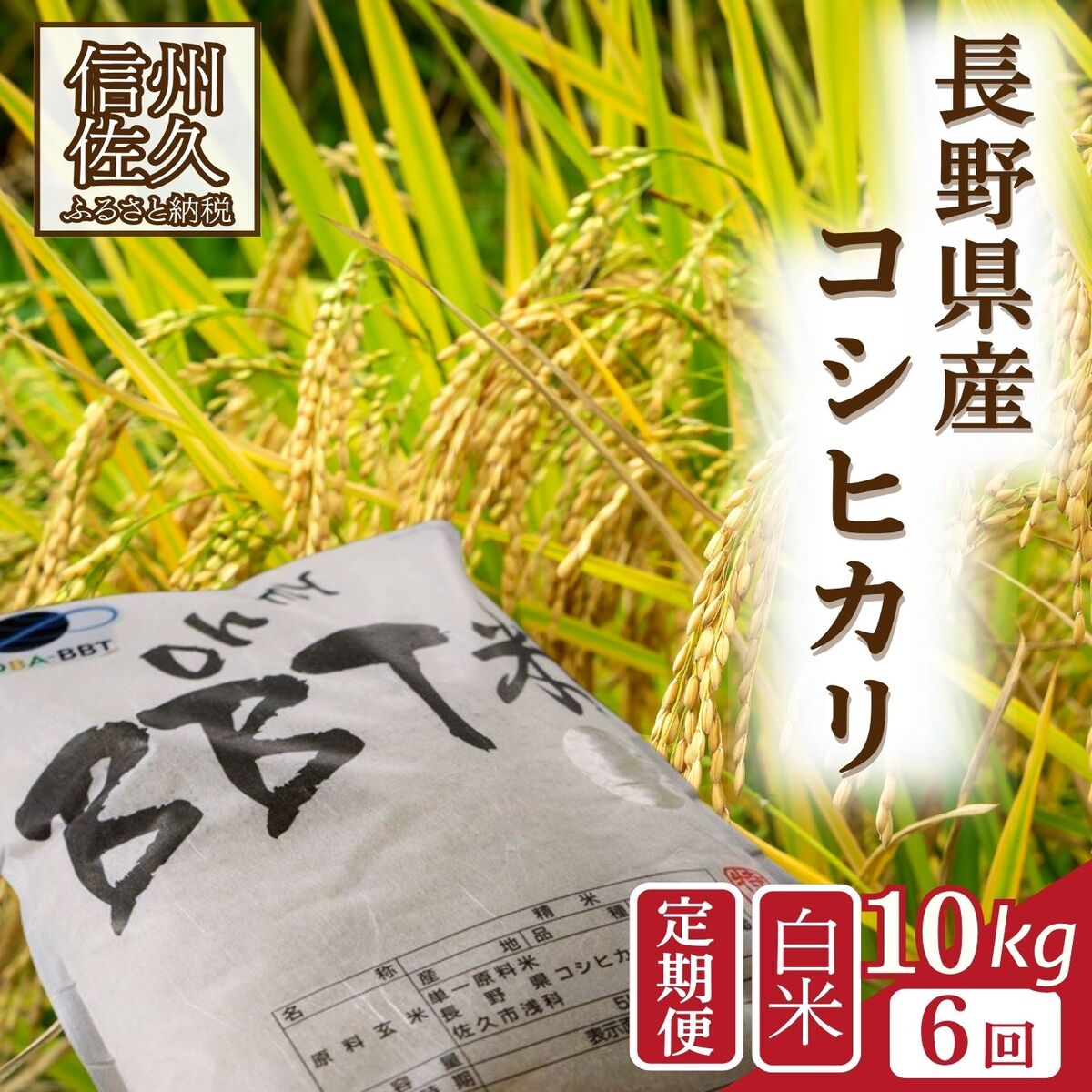 [令和7年産・白米10kg×6カ月定期便]特別栽培米 BBT米(五郎兵衛米)[2025年9月中旬頃〜順次発送] 先行予約 新米 信州 こしひかり[ 長野県 佐久市 ]
