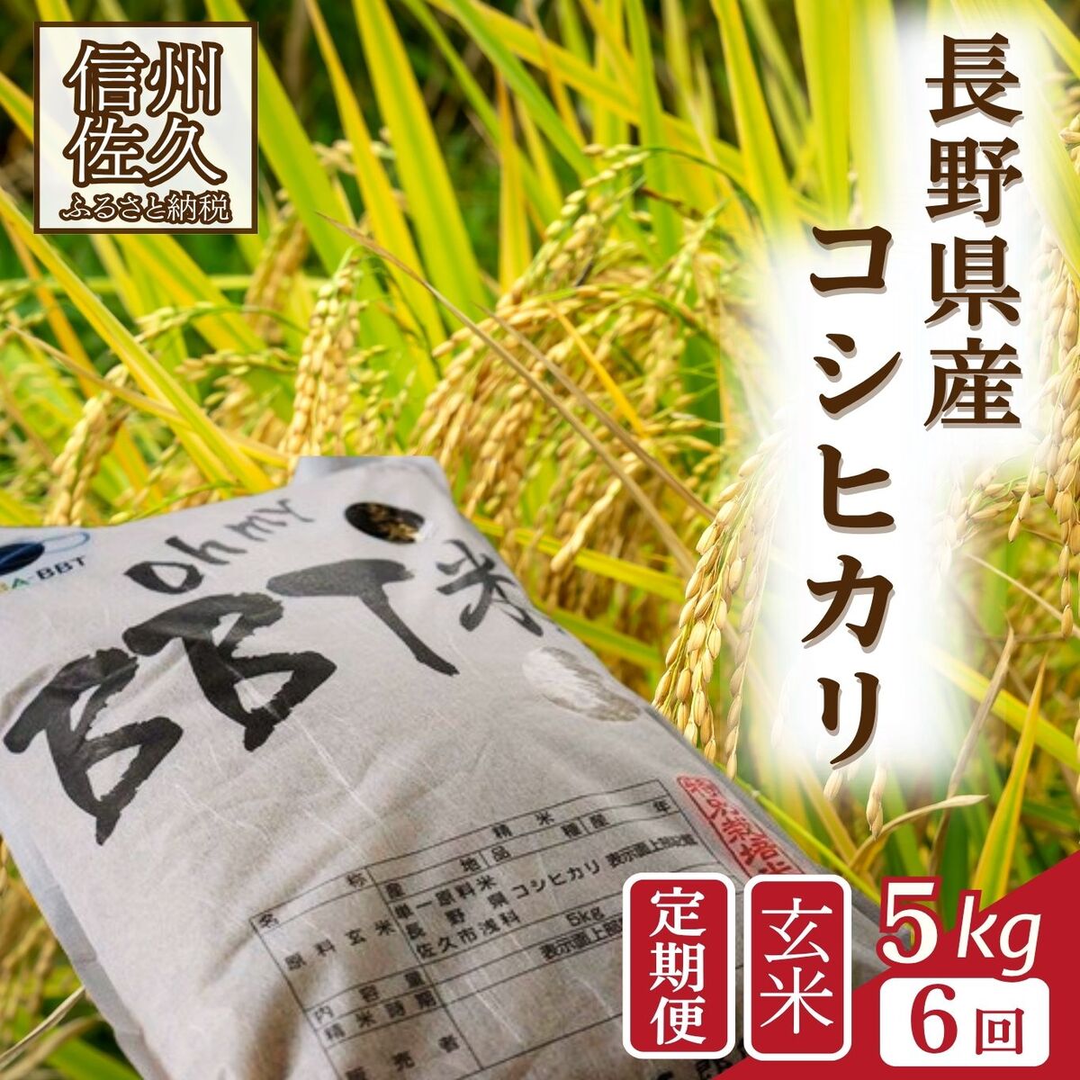 [令和7年産・玄米5kg×6カ月定期便]特別栽培米 BBT米(五郎兵衛米) [2025年9月中旬頃〜順次発送] 先行予約 新米 信州 こしひかり[ 長野県 佐久市 ]
