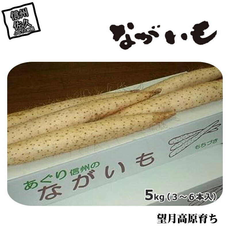 長野県産 ながいも 約5kg 〈2025年12月1日出荷開始~2025年12月25日出荷終了〉| 長芋 長いも 高原野菜 信州佐久 土作りからこだわり 作物本来の美味しさを目指して栽培 長野県 佐久市 旬彩