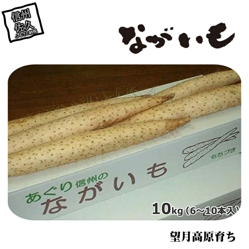 長野県産 ながいも 約10kg 〈2025年12月1日出荷開始~2025年12月25日出荷終了〉| 長芋 長いも 高原野菜 信州佐久 土作りからこだわり 作物本来の美味しさを目指して栽培 長野県 佐久市 旬彩