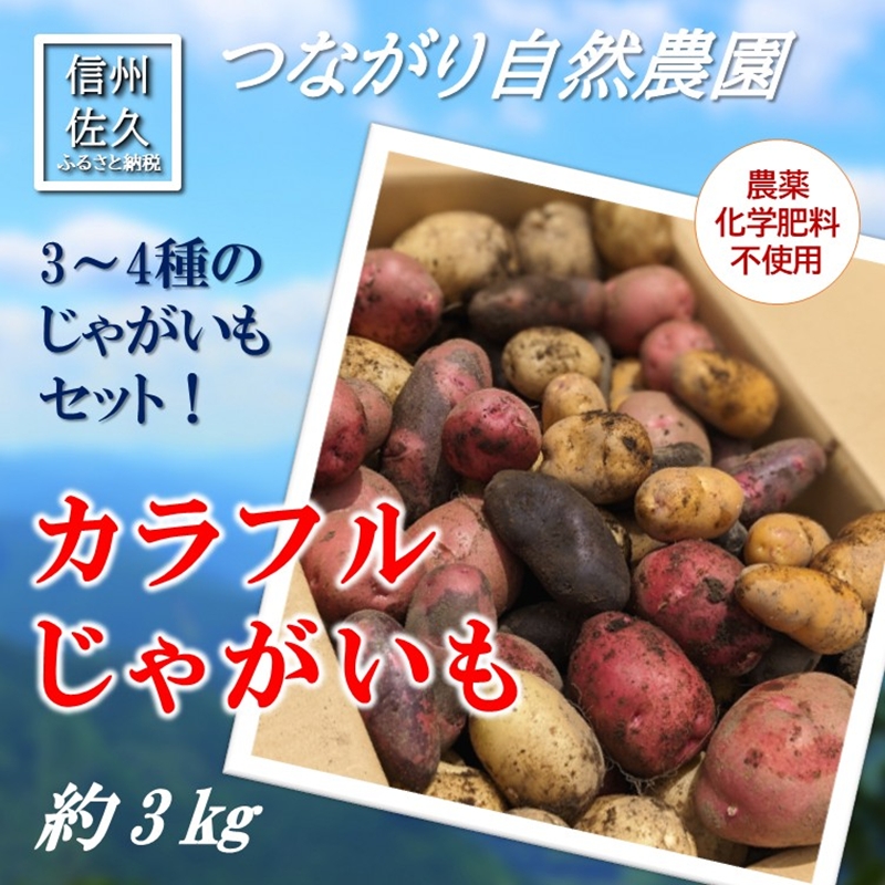 長野県佐久市産カラフルじゃがいも約3kg（北海道・沖縄・離島は配送不可） 農薬・化学肥料　不使用　高原野菜　無農薬　産地直送　新鮮　旬彩　期間限定