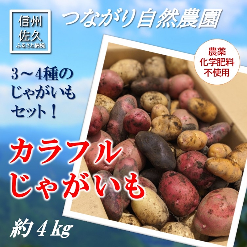 長野県佐久市産カラフルじゃがいも約4kg（北海道・沖縄・離島は配送不可） 農薬・化学肥料　不使用　高原野菜　無農薬　産地直送　新鮮　旬彩　期間限定