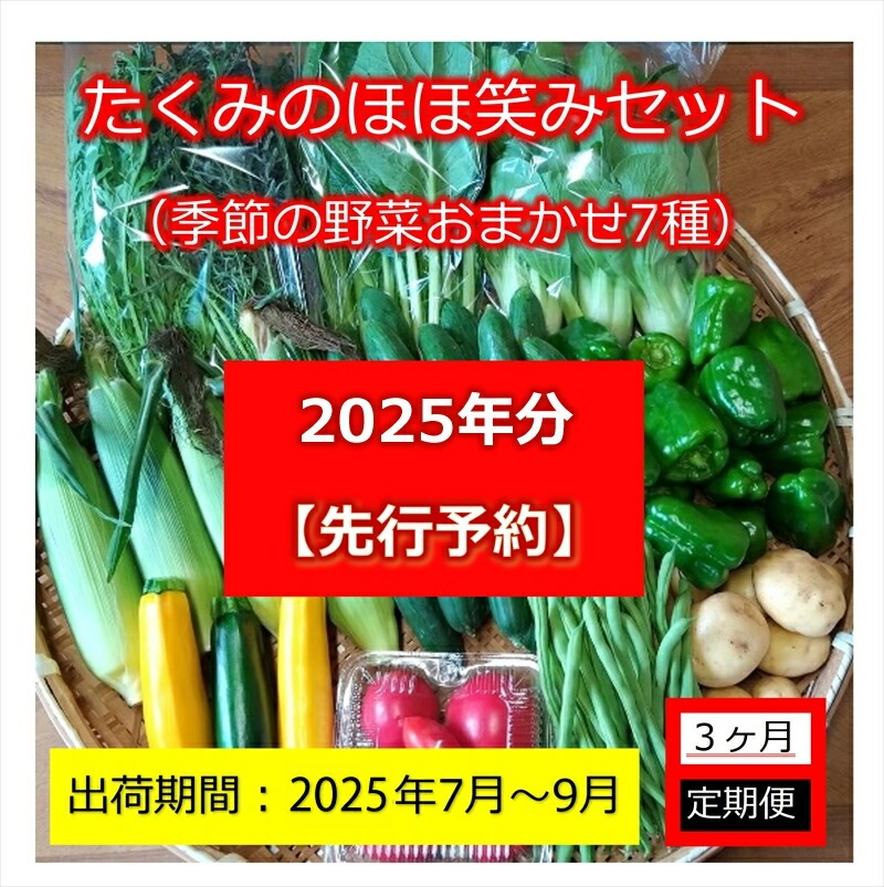 [先行予約][3ヶ月定期便]たくみのほほ笑みセット(季節の野菜おまかせ7種) [出荷開始:2025年7月1日〜2025年 9月30日まで]高原野菜[ 野菜 長野県 佐久市 ]