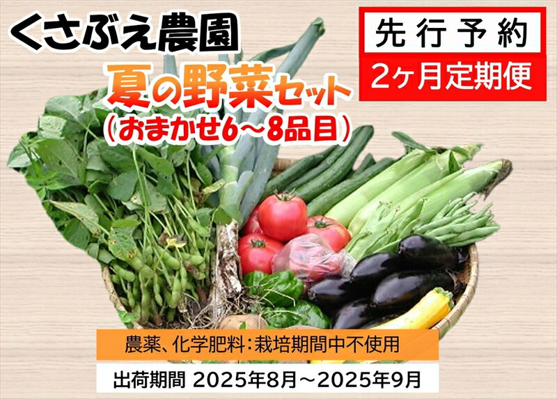 [先行予約 2ヶ月定期便] くさぶえ農園 夏の野菜セット(おまかせ6〜8品目) 高原野菜 無農薬[2025年8月1日出荷開始〜2025年9月30日出荷終了][有機野菜 有機栽培 くさぶえ農園 農薬や化学肥料を使用せず 長野県 佐久市 ]