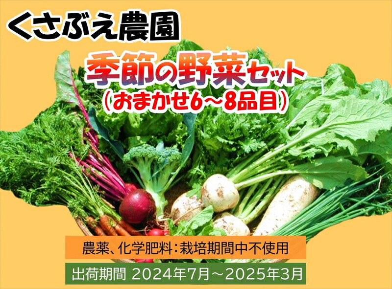 くさぶえ農園 季節の野菜セット(おまかせ6〜8品目) 高原野菜 無農薬 新鮮 旬 簡単レシピ[2024年7月1日出荷開始〜2025年3月31日出荷終了][有機野菜 有機栽培 くさぶえ農園 農薬や化学肥料を使用せず 長野県 佐久市 ]