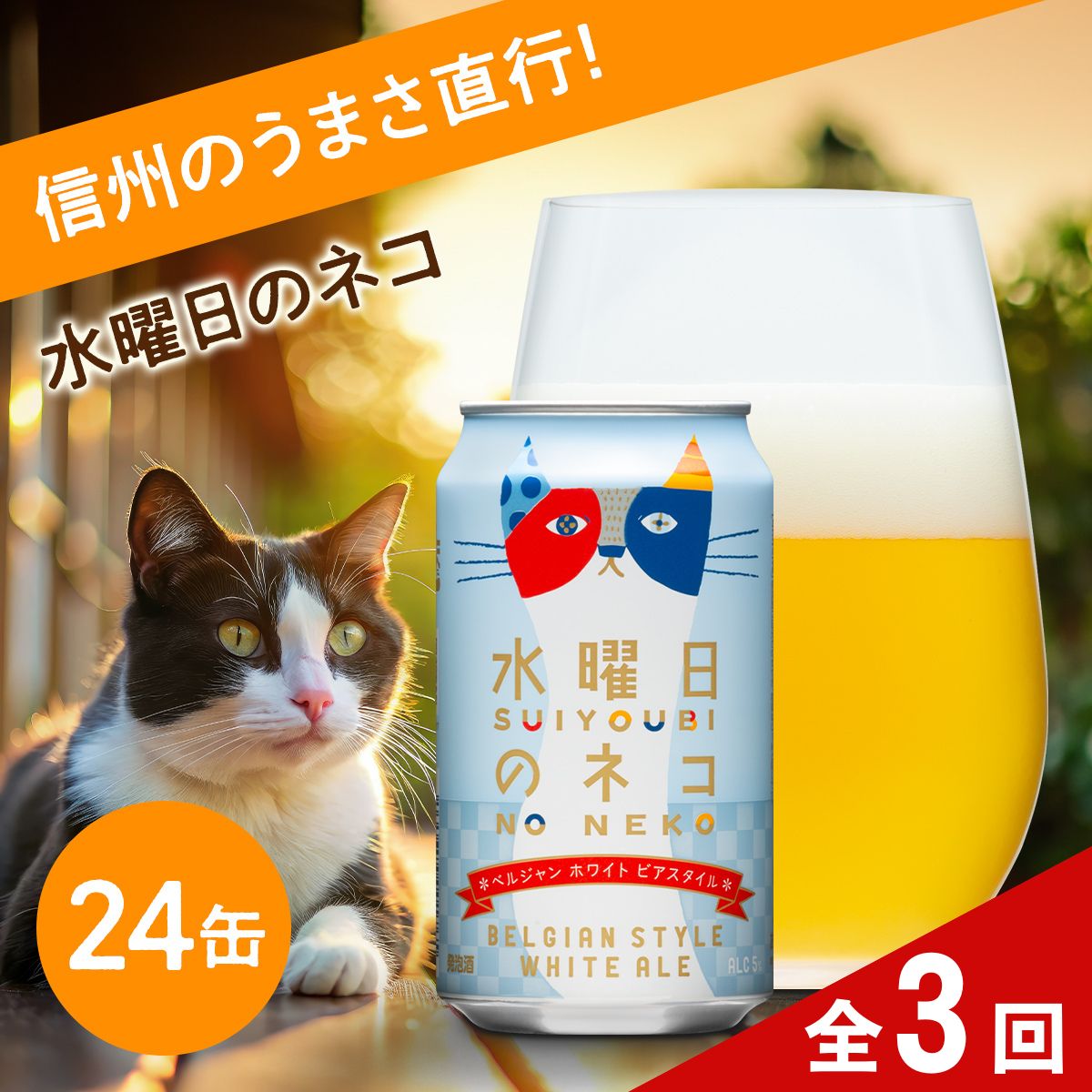[定期便3ヶ月]クラフトビール 水曜日のネコ(24缶)[ 長野県佐久市 ヤッホーブルーイング ビール 地ビール クラフトビール 缶ビール ]