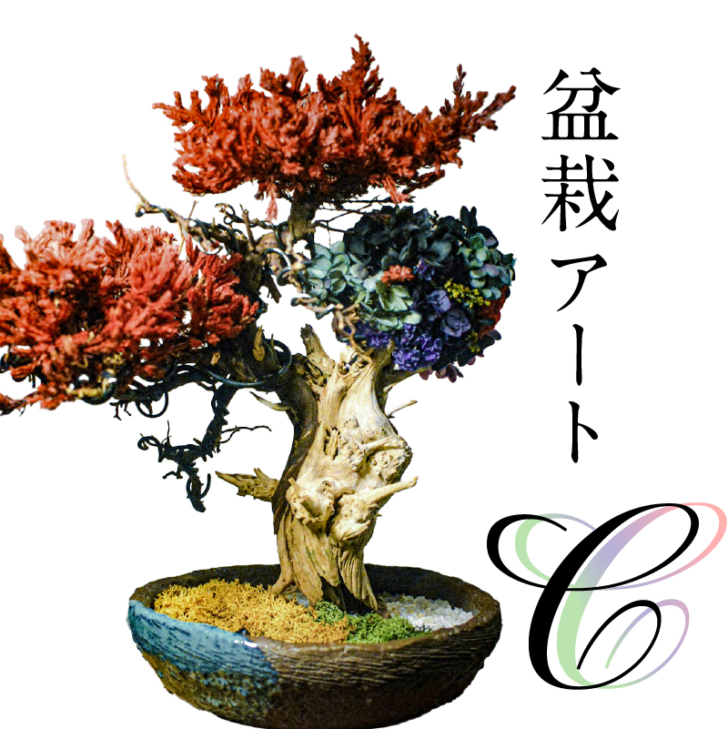 盆栽アート[C] [0120-003]