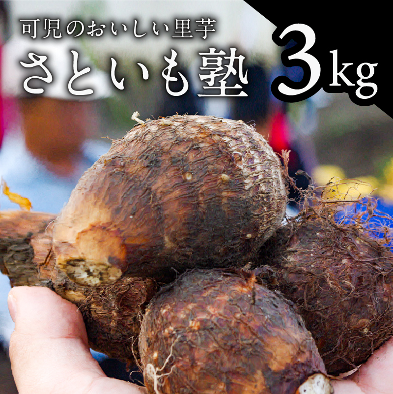 可児のおいしい里芋『さといも塾』3kg 【0011-003】