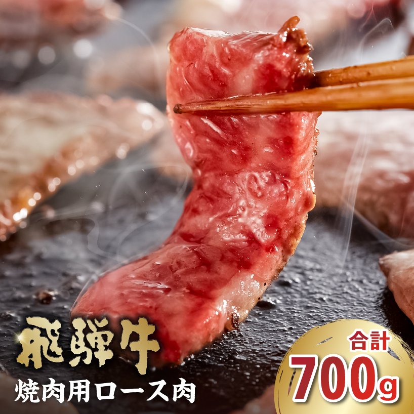 飛騨牛 焼肉用(ロース700g)【0016-049】