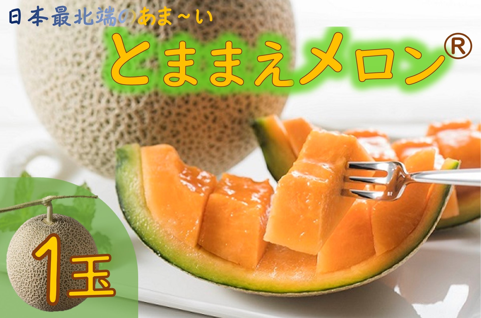 【令和7年産】とままえメロン　1玉（先行予約　北海道産　赤肉　糖度14度　甘い　フルーツ　果物　デザート　送料無料）
