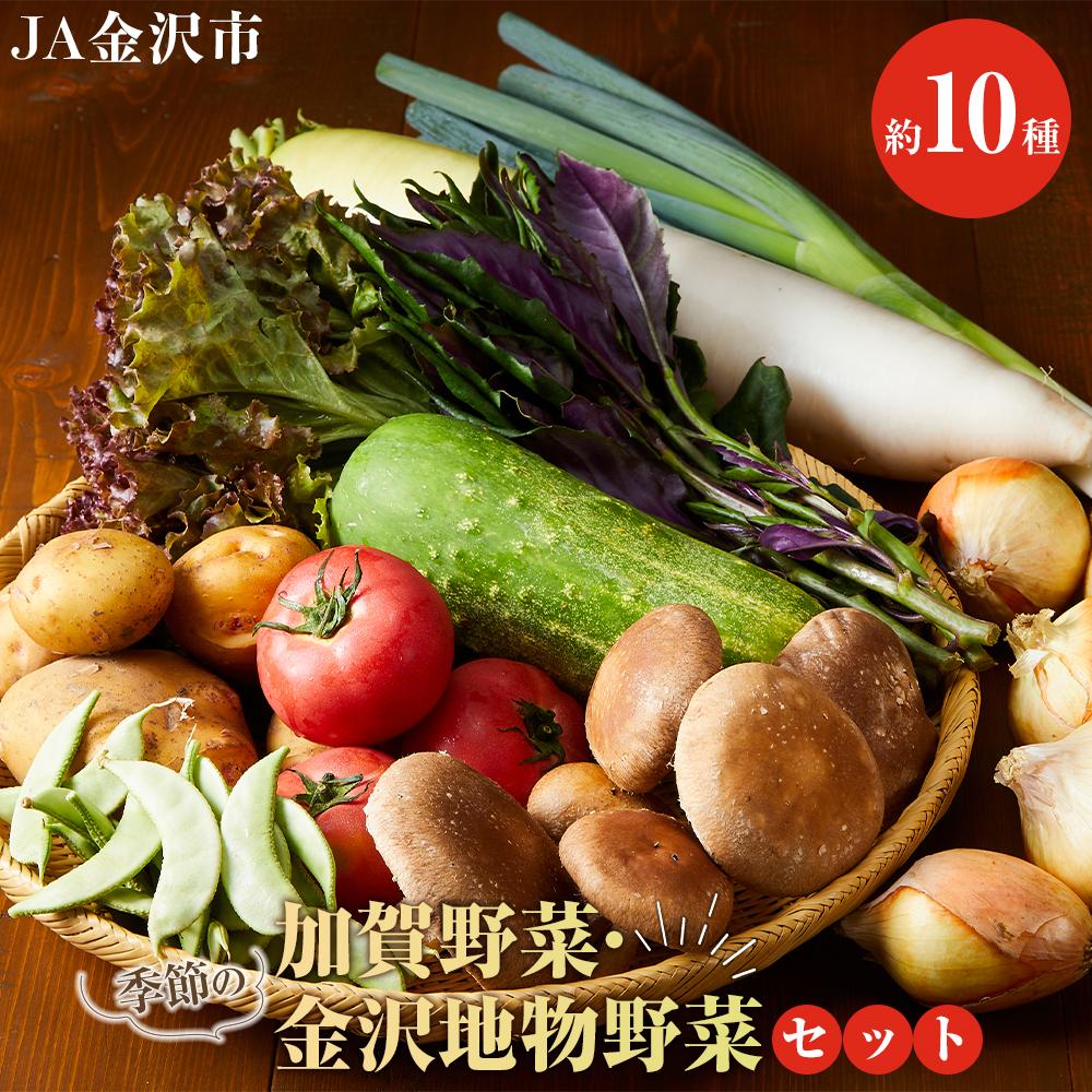 JA金沢市 季節の加賀野菜・金沢地物野菜セット