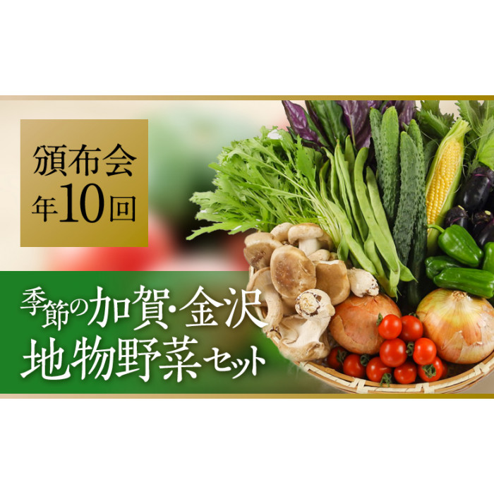 [全10回]JA金沢市 季節の加賀野菜・金沢地物野菜セット頒布会(毎月1回)
