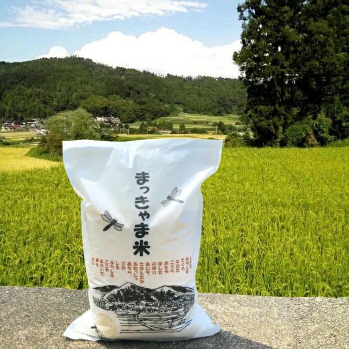 [玄米](令和5年度産)特別栽培米 石川県産こしひかり棚田米"まっきゃま米"