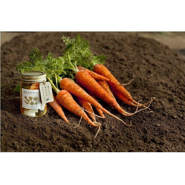 【金沢のピクルス】おまかせギフト　8種入