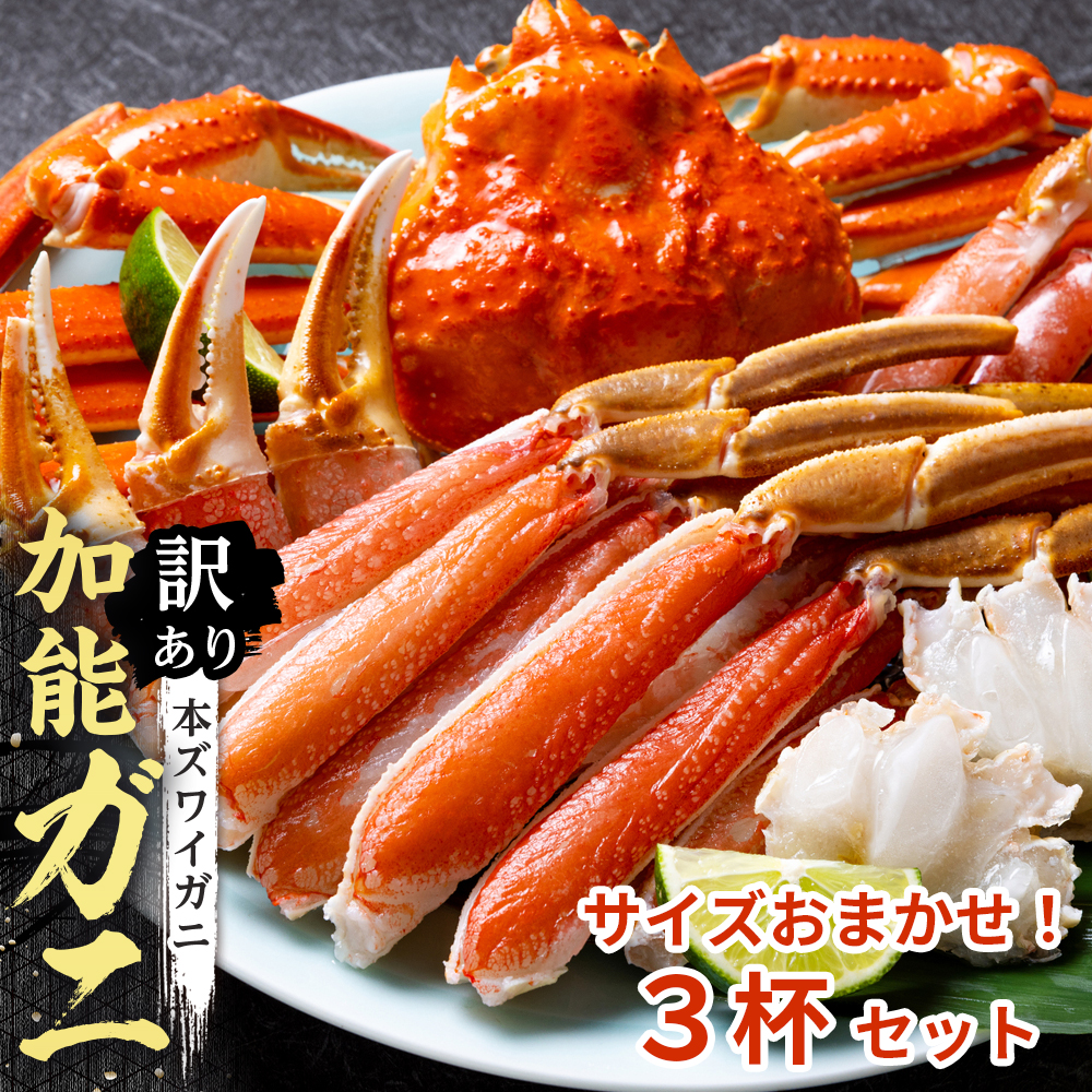 【訳あり】金沢港より直送！サイズおまかせボイル加能ガニ 3杯セット
