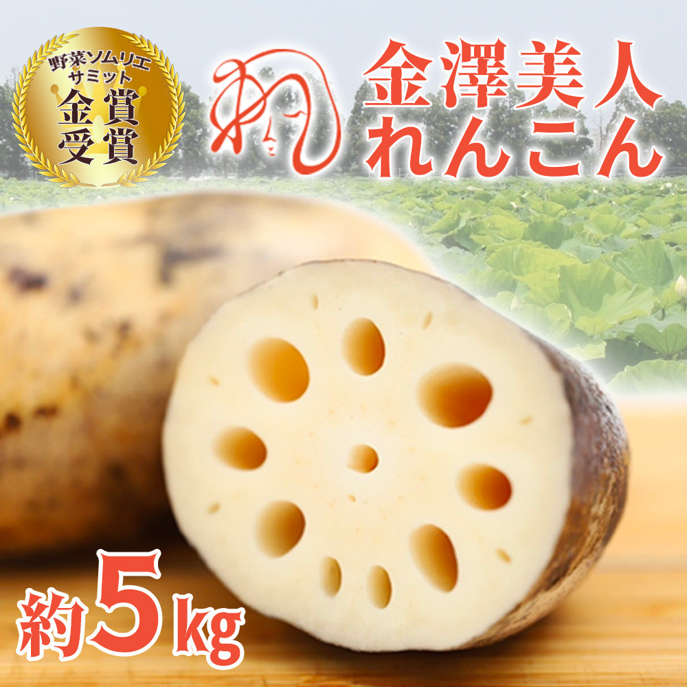 レンコン 5kg 金澤美人れんこん 蓮根 野菜 根菜