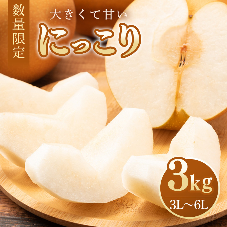 [数量限定・期間限定] にっこり 3kg 3L〜6L 5〜8玉 [10月1日〜11月末発送予定] 70-N