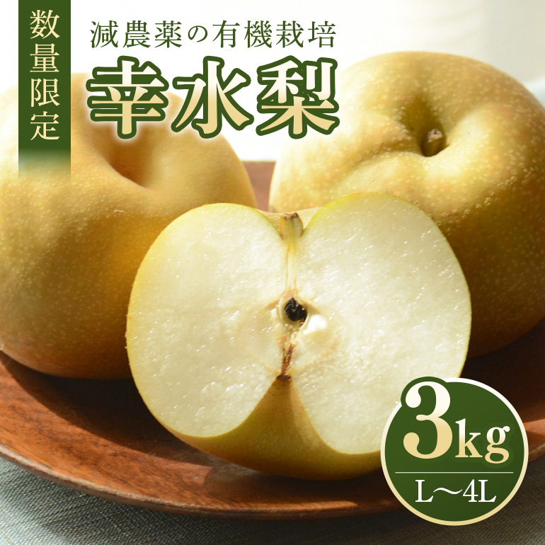 [数量限定 / 期間限定] 幸水 3kg L〜4L 7〜10玉 [8月10日〜9月末発送予定] 70-L