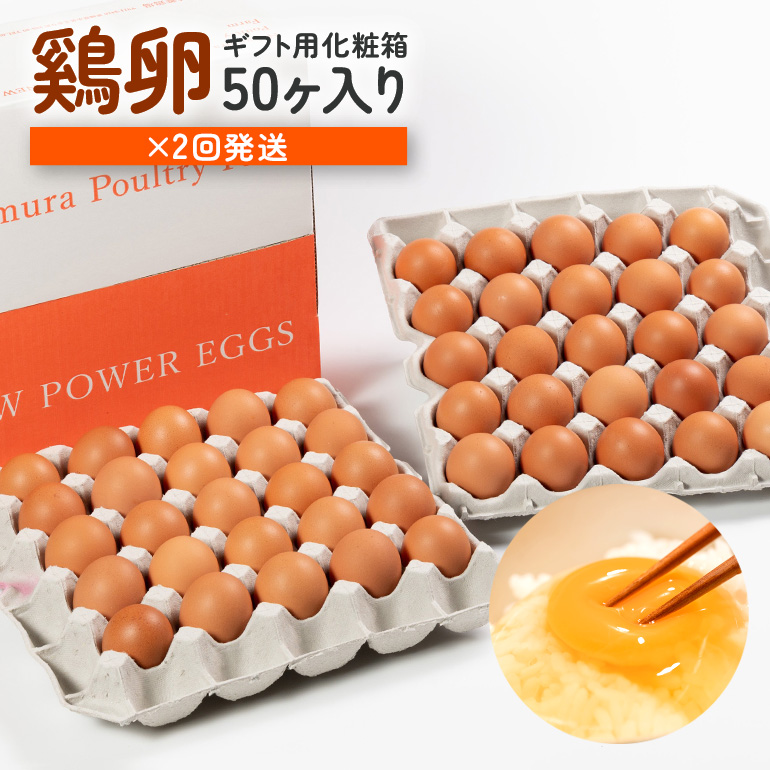 [定期便]鶏卵 (ギフト用化粧箱50ヶ(45+補償5)入り ×2回発送) 15-D