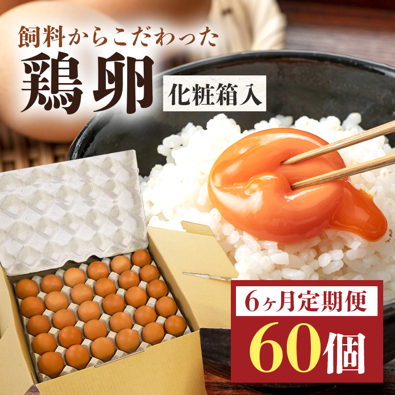 鶏卵60個(55個+補償5個)入り化粧箱 【6ヶ月定期便】 16-D