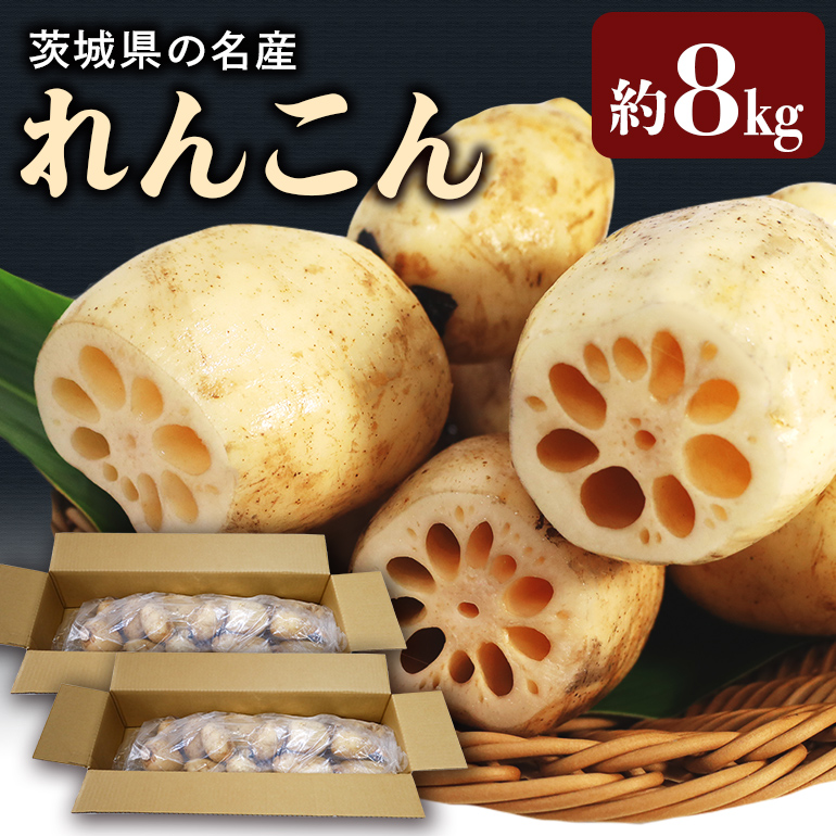 [数量限定・先行予約] 小美玉市産れんこん(2箱)約8kg 17-AD