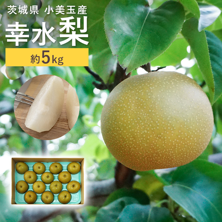 [数量限定 / 夏季限定] 梨(幸水) 約5kg 17-C