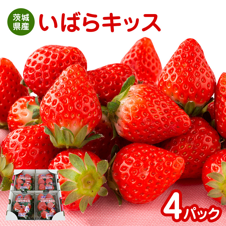 いちご（いばらキッス） 17-P