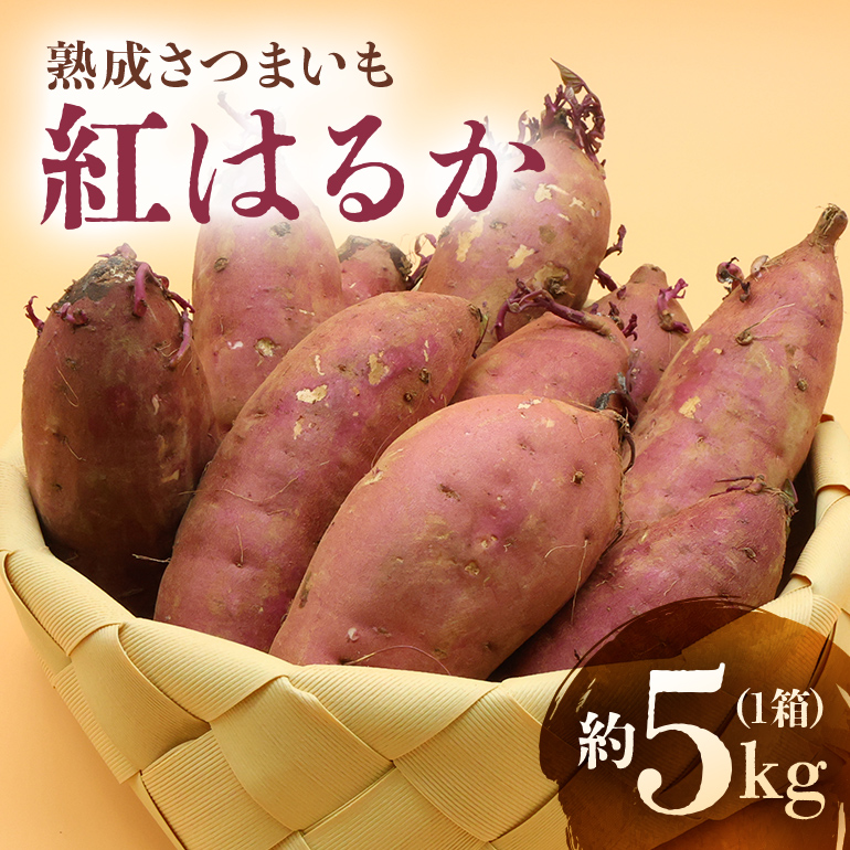 [数量限定 / 期間限定]熟成さつまいも(紅はるか 5kg) 41-F