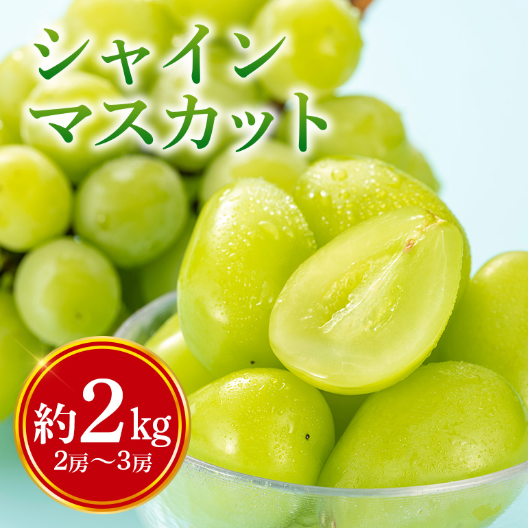 [数量限定・期間限定] シャインマスカット 約2kg(2房〜3房) 54-A