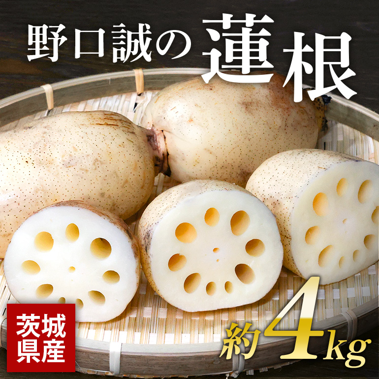 野口誠の蓮根 約4kg 57-A