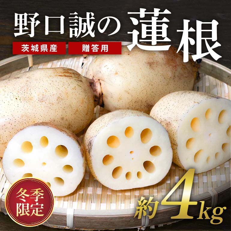 贈答用 野口誠の蓮根 約4kg 57-B