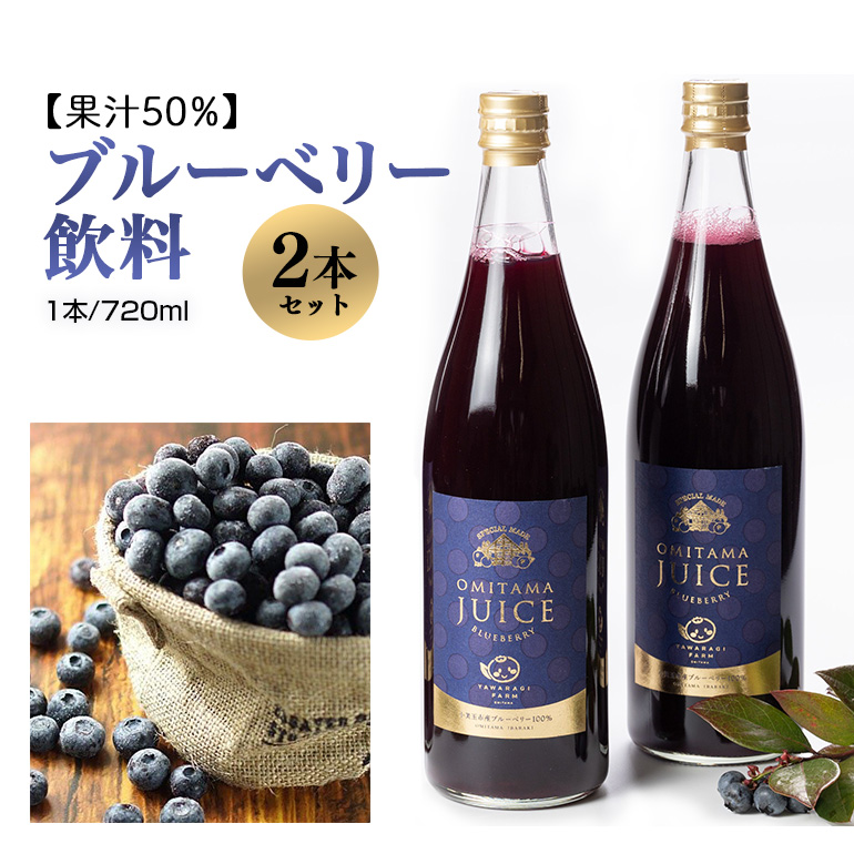 果汁50%ブルーベリー飲料2本セット 9-L