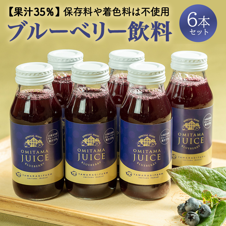 果汁35%ブルーベリー飲料6本 9-N