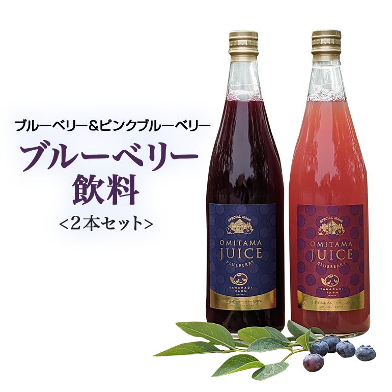 ピンクブルーベリー飲料1本、ブルーベリー飲料1本(化粧箱入り) 9-P