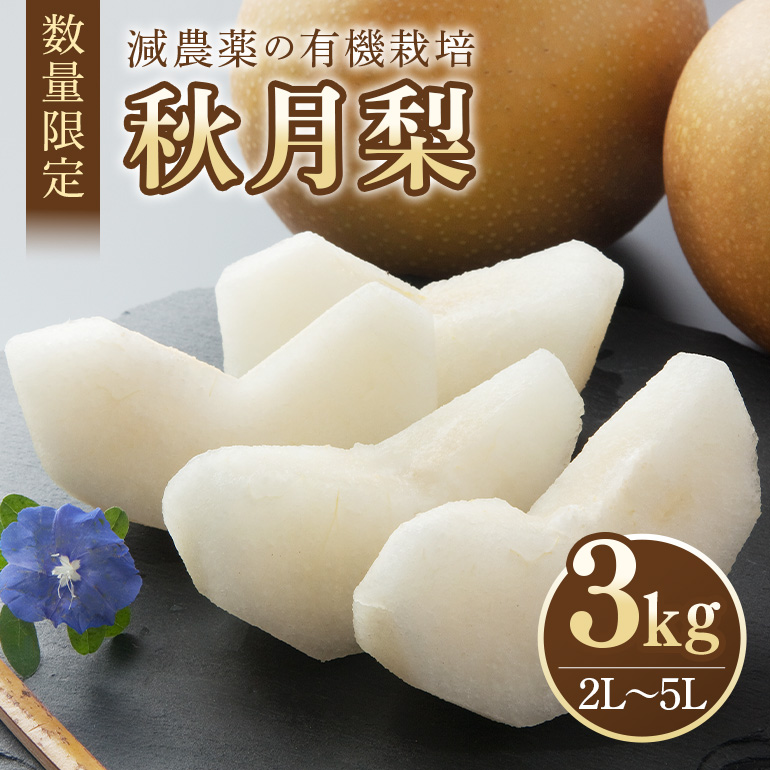 [数量限定 / 期間限定] 秋月 3kg 2L〜5L 6〜9玉 [9月10日〜10月末発送予定] 70-C