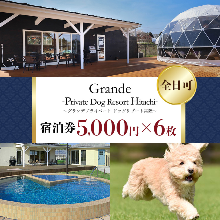 グランデ プライベート ドッグリゾート常陸宿泊券 5,000円×6枚（全日可） 72-H
