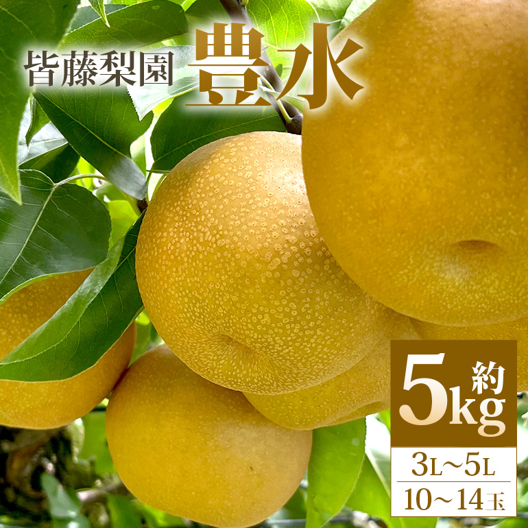 [数量限定・先行予約][皆藤梨園]豊水(約5kg/3L〜5L/10〜14玉) [8月下旬以降発送予定] 75-B