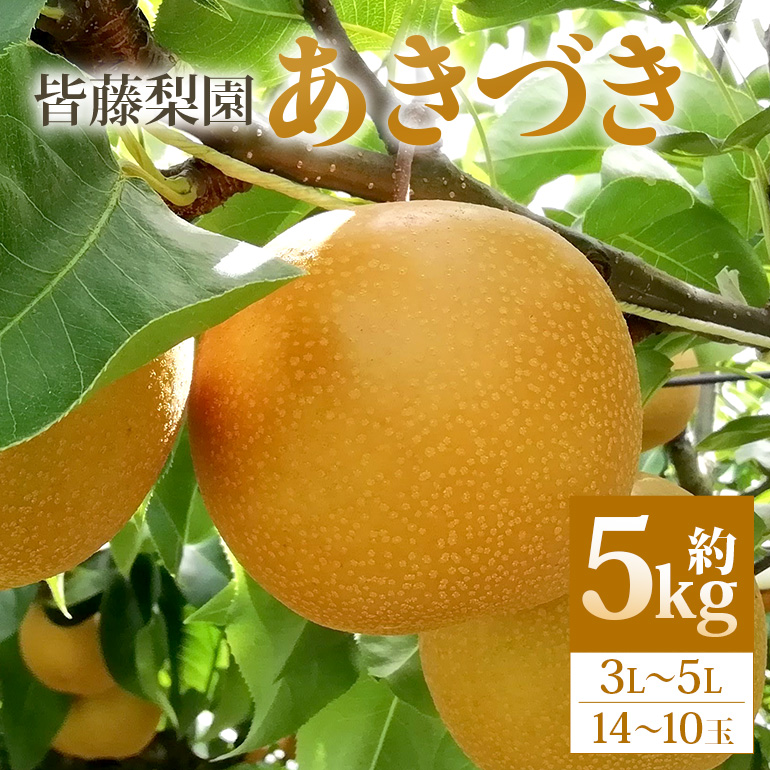[数量限定・先行予約][皆藤梨園]あきづき(約5kg/3L〜5L/14〜10玉) [9月上旬以降発送予定] 75-D