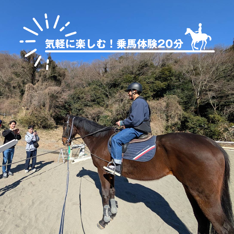 気軽に楽しむ!乗馬体験20分【 体験 レッスン 神奈川県 大磯町 】