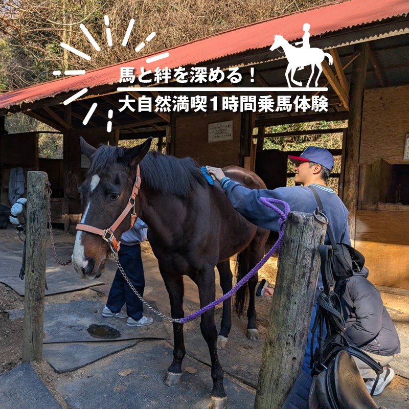 馬と絆を深める!大自然満喫1時間乗馬体験【 体験 レッスン 神奈川県 大磯町 】
