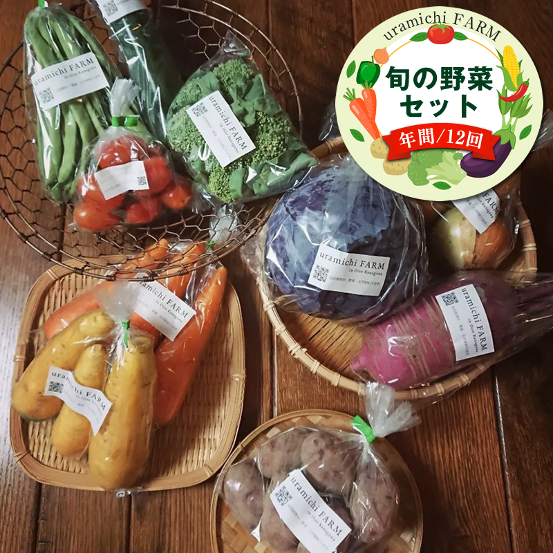 旬の野菜セット(年間/12回)【 神奈川県 大磯町 季節野菜セット 新鮮野菜】