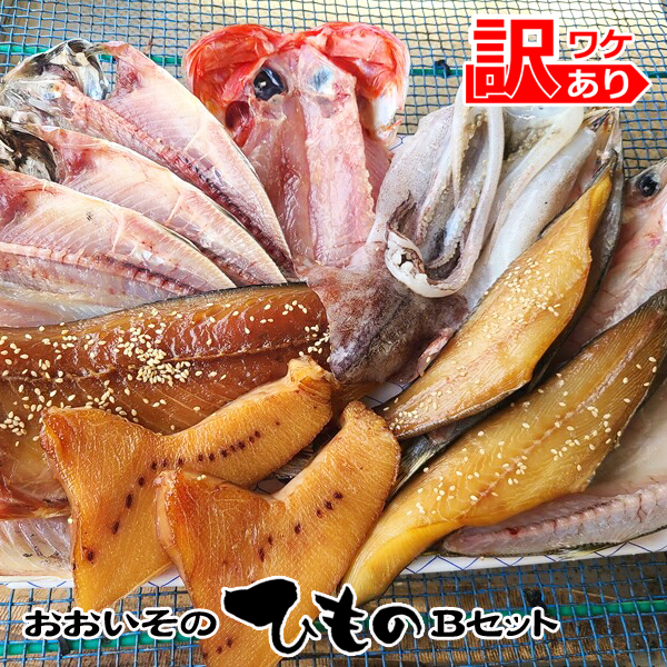 おおいその干物Bセット／ 季節によって多少内容が変わる訳あり品 【 ひもの 魚 天日干し 神奈川県 大磯 湘南 特産品】