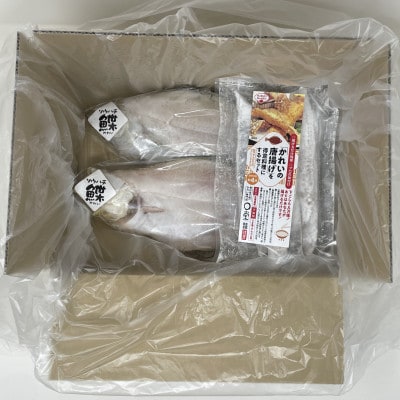 一夜干しかれい「ソウハチ 2尾」と「かれいの唐揚げ」を得意料理にするセット MM0261【配送不可地域:離島】【1613879】
